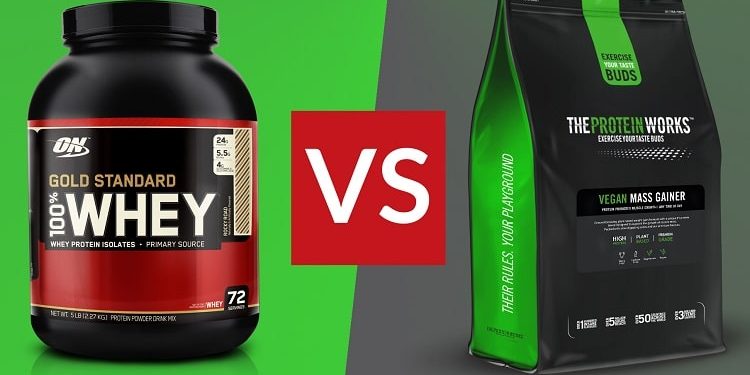 تفاوت پروتئین وی و گینر