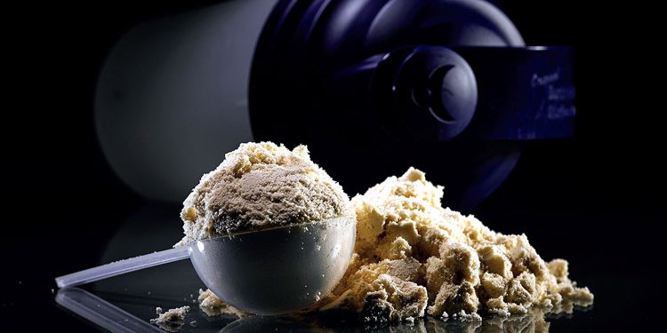 پودر پروتئین چیست