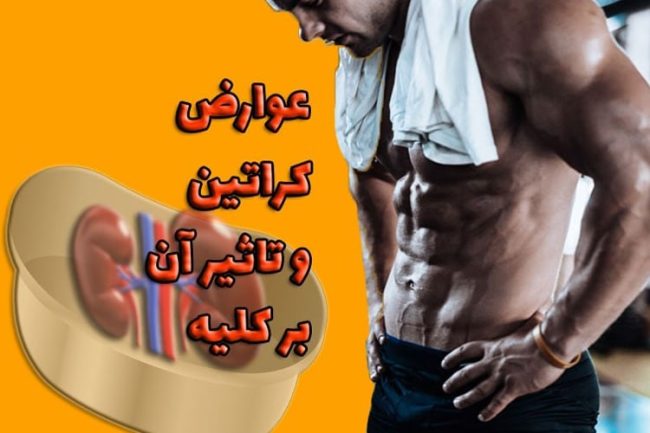 effects-of-creatine-supplementation-on-kidneys-1 عوارض مکمل کراتین بر کلیه ها