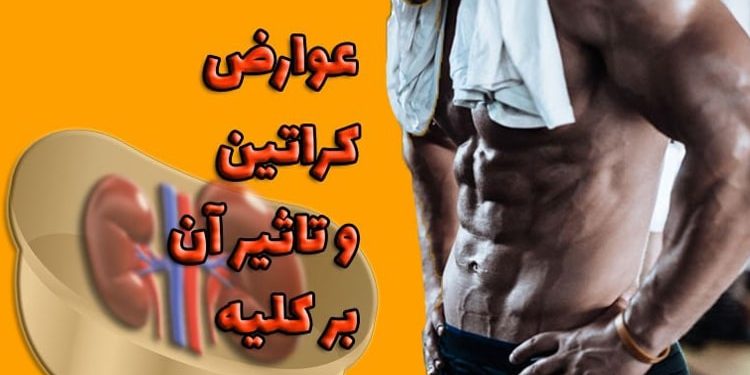 effects-of-creatine-supplementation-on-kidneys-1 عوارض مکمل کراتین بر کلیه ها