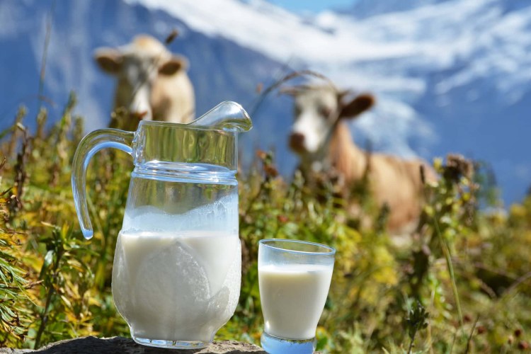 دوز مصرف پروتئین شیر