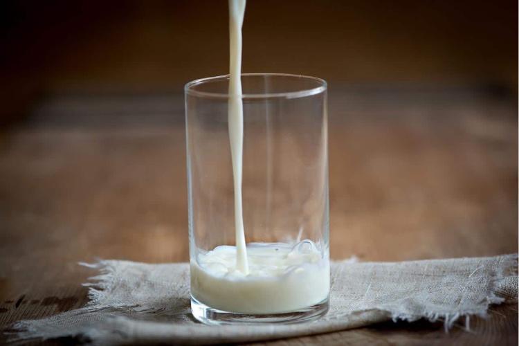 کنسانتره پروتئین شیر گاو چیست؟