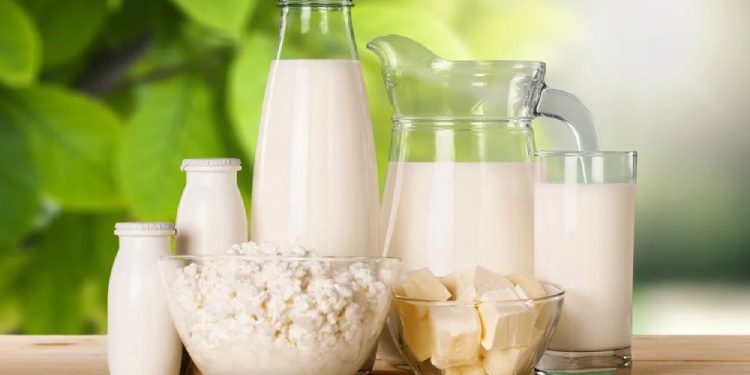 پروتئین شیر چیست؟