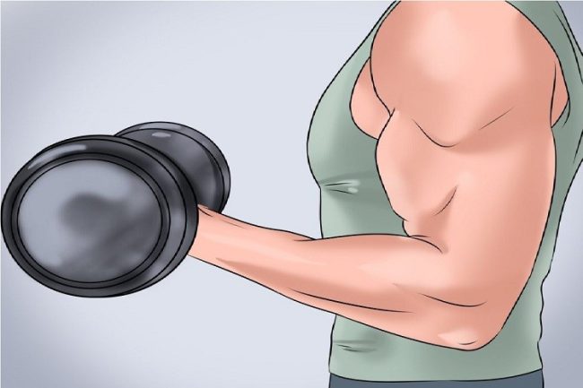 The best food and supplement for resistance training بهترین غذا و مکمل برای تمرین مقاومتی