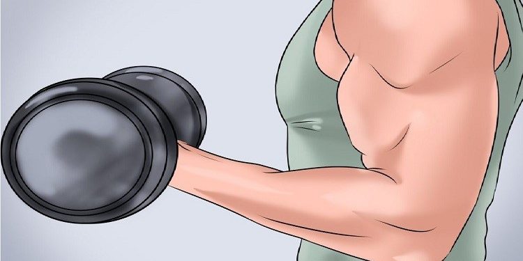 بهترین غذا و مکمل برای تمرین مقاومتی