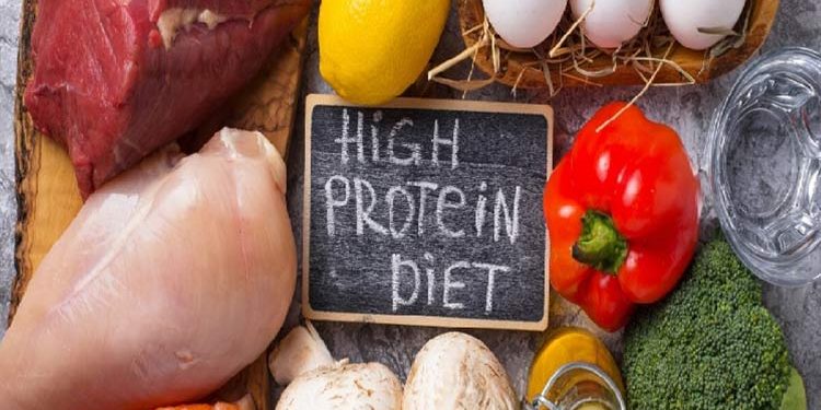رژیم پروتئین چیست